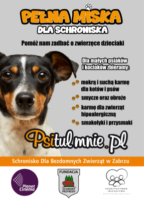 Pełna miska dla schroniska