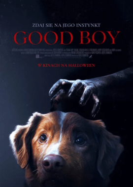 Plakat filmu Good boy
