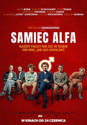 Samiec Alfa plakat