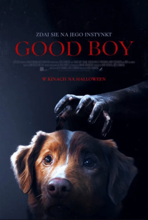 Good Boy plakat