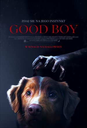 Good Boy plakat