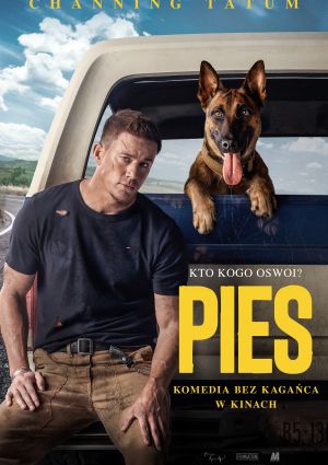 Plakat filmu Pies