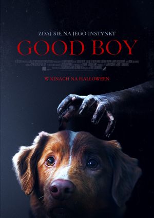 Plakat filmu Good Boy