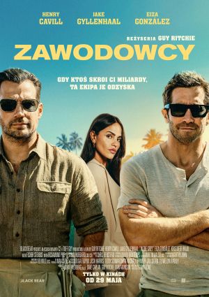Plakat filmu Zawodowcy