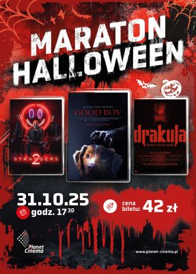 zdjęcie aktualności